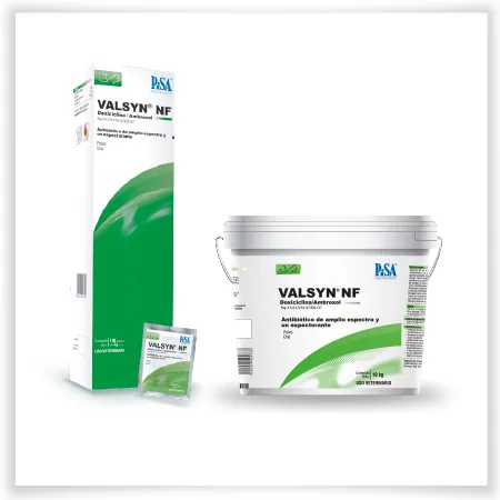 Valsyn® NF de Pisa - Imagen 3