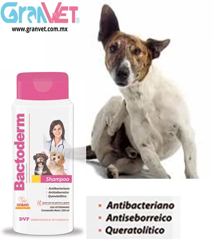 Bactoderm® Shampoo de Holland - Imagen 2