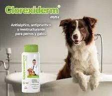 Clorexiderm Max® de Holland - Imagen 3