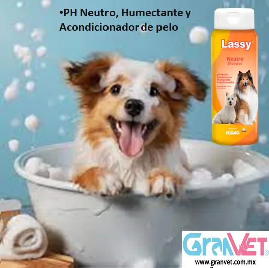Lassy® Neutro Shampoo de Holland - Imagen 3
