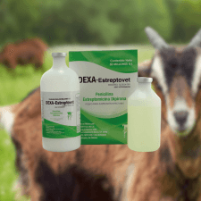 DEXA-ESTREPTO AGROVET
