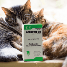 AMIKAVET-PE 100 ML AGROVET