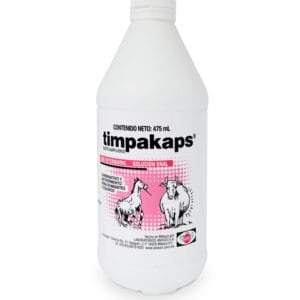 TIMPAKAPS  ANDOCI