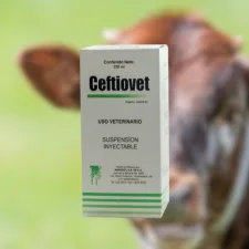 CEFTIOVET RTU  AGROVET