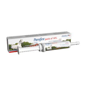 PARAFEN PASTA 10% 32GR ARANDA