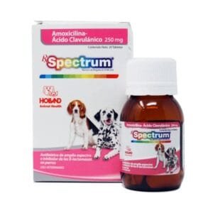 SPECTRUM AMOXICILINA AC CLAVULANICO 250 MG HOLLAND