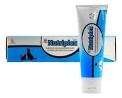COMPLENAY GEL PLUS 120 GR (56) PISA PEQ