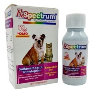 RX FELVITAL ITRACONAZOL 60 ML HOLLAND