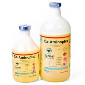 CA-AMINOPLEX INY 250 ML TORNEL