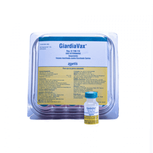 GIARDIA-VAX 1 DS (25) ZOETIS PEQ