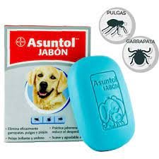 JABON PERRO AGRADECIDO ANTISEPTICO TORNE