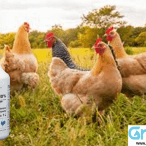 BAYTRIL SOL.ORAL 10% 1 LT BAYER DESCONTINUADO