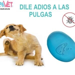 ASUNTOL PVO. (25) 15 GR