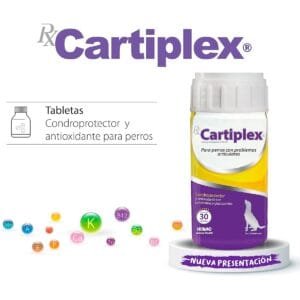 CARTIPLEX 60 TB HOLLAND