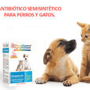 SPECTRUM CLINDAMICINA ORAL 25ML HOLLAND