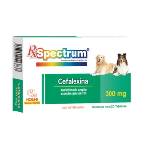 SPECTRUM CEFALEXINA 300 MG 28 TB HOLLAND