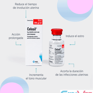 CELOSIL 1X100ML