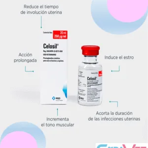 CELOSIL 1X100ML