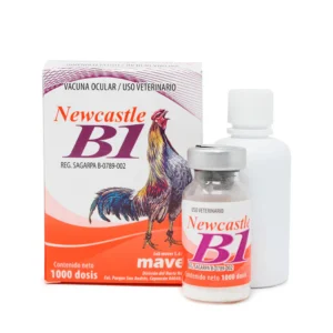 NEW CASTLE V. V. CEPA B1 1000 DS. MAVER