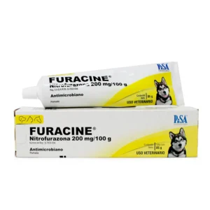ACTYNOCEF S/DIL (12) 4 GR PISA