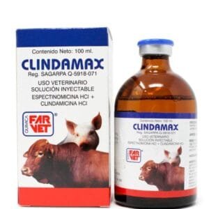 CLINDAMAX 100 ML QUIM.FARVET