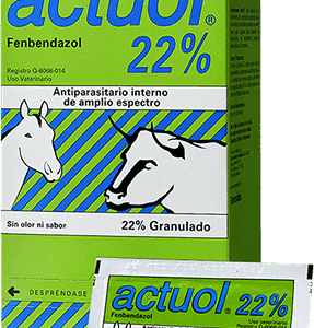VARA AMARILLA CHICA 22'' VARIOS