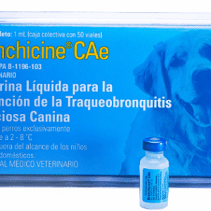 BRONCHICINE (50) 1DS ZOETIS