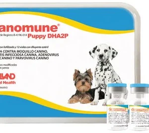 CANOMUNE PUPPY DHA2P (12) 1 DS HOLLAND