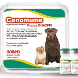 CANOMUNE DHA2PPI+L4 (12) 1 DS HOLLAND
