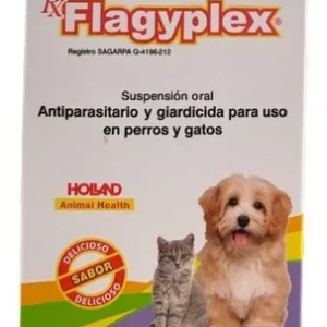 FLAGYPLEX SUSP 60 ML HOLLAND
