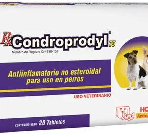 RX CONDROPRODYL 100MG 20 TABS HOLLAND