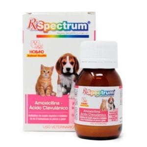 SPECTRUM SUSP AMOX AC CLAVULANICO 30 ML HOLLAND