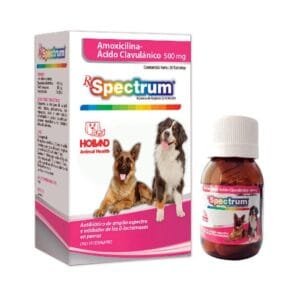 SPECTRUM AMOXICILINA AC CLAVULANICO 500 MG HOLLAND