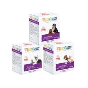 SPECTRUM DOXICICLINA 100MG 30TB HOLLAND