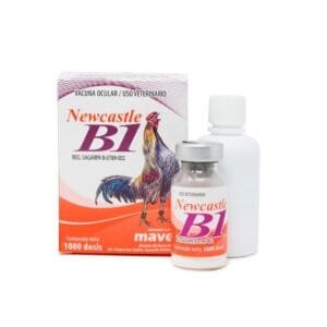 ANTICLORO C/VITAMINA B1 60 ML (FL1101M) (DINAGOS)