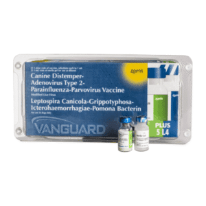 NC PLUS+INFLUENZA 1000 DS