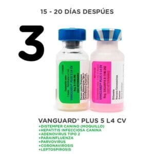 QUANTUM DOG DA2PPV+L4 1DS. MSD PQ